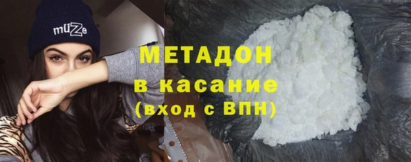 сатива Арсеньев