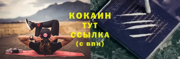 сатива Арсеньев