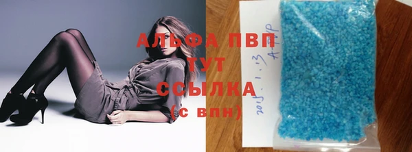 сатива Арсеньев