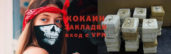 шишки Армянск