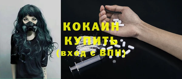сатива Арсеньев