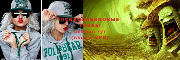 сатива Арсеньев