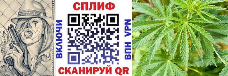 Бошки Шишки семена  Солигалич 